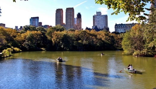 Central park with boats.
