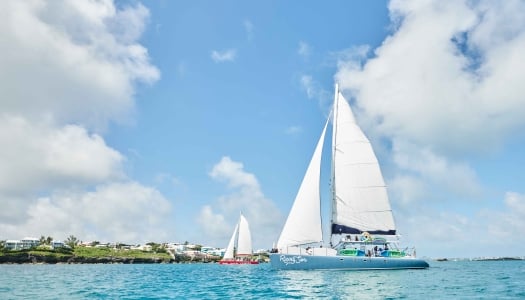 Aerial view of bermuda boats.