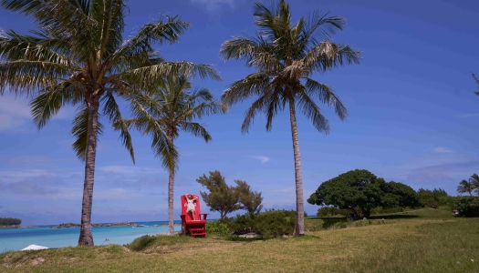 A woman is posing in a chair.