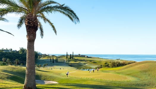 A group of women are playing at Port Royal.
