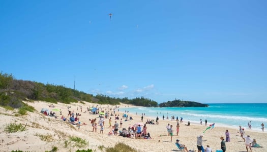 Kites are flying on the beach