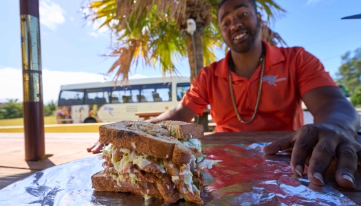 Titan Tours Fish Sandwich Tour