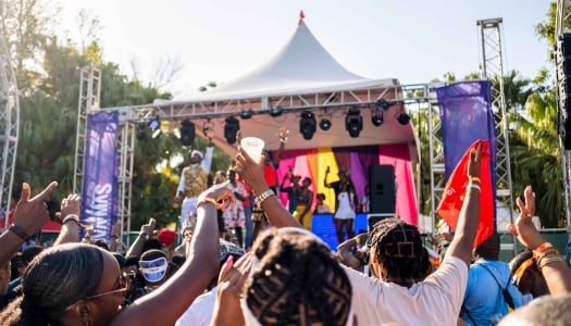 People are dancing at a concert