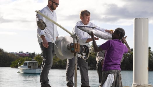 A fisherman is handing chef a freshly caught fish
