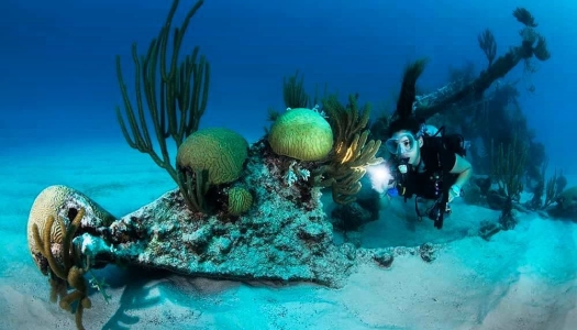 A woman scuba diving under water near coral
