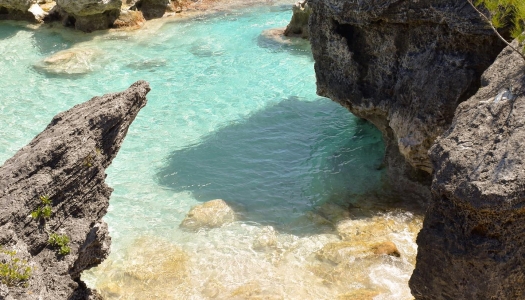 Rocky coves along the coast of Bermuda