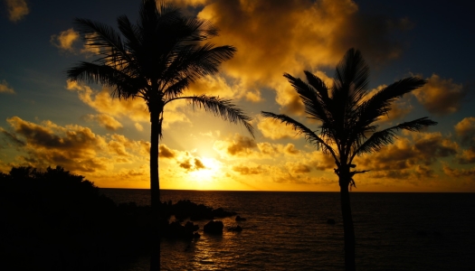 Blackbeard's Hideout – Blackbeard's Hideout Sunset