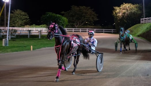 Driving Horse & Pony Club of Bermuda – Harness Pony Racing