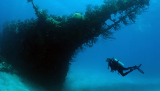 Blue Water Divers & Watersports – Wreck Dive
