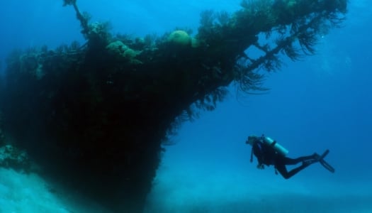 Blue Water Divers & Watersports – Wreck Dive