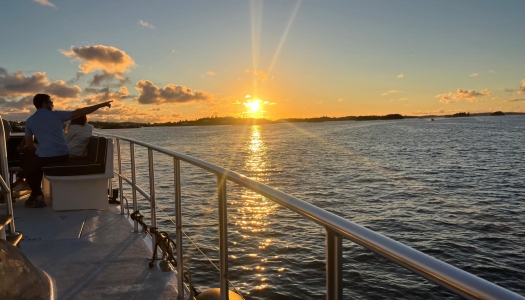 Weekly Sunset Cocktail Mini Cruises | Ubervida