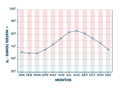 Bermuda Water Temperature