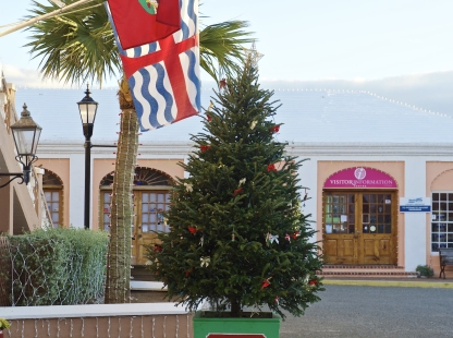 Christmas tree in Bermuda