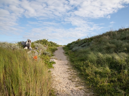 A hiking trail in Bermuda