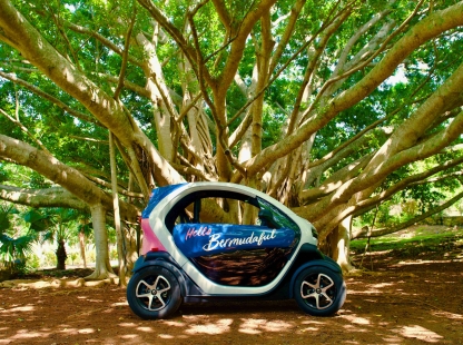 An electric vehicle is by under a large wide tree.