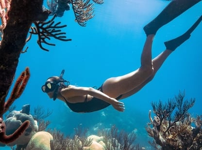A woman snorkeling near coral