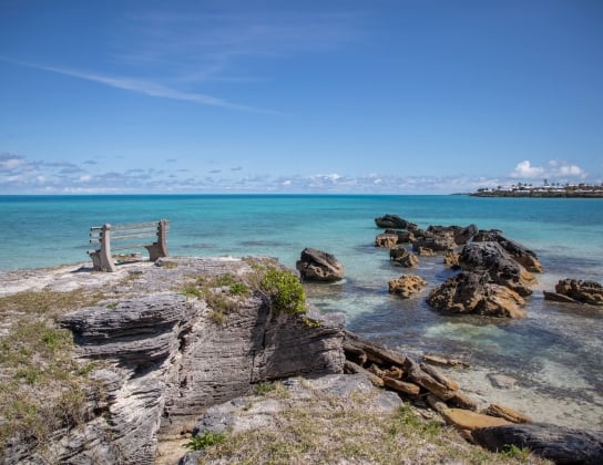 Beach - Daniel's Head Park