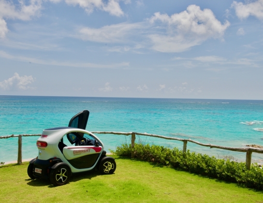 A twizy is on the grass by the calm blue ocean.