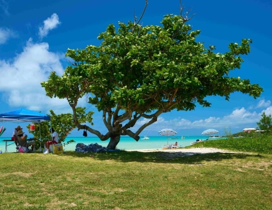 A beach rental team is lounging around on the secluded Somerset Long Bay.