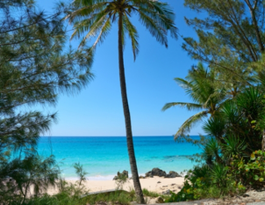 Southlands Beach