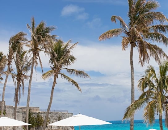 The pool at St. Regis