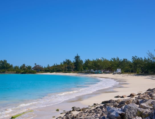 Clearwater Beach & Turtle Bay