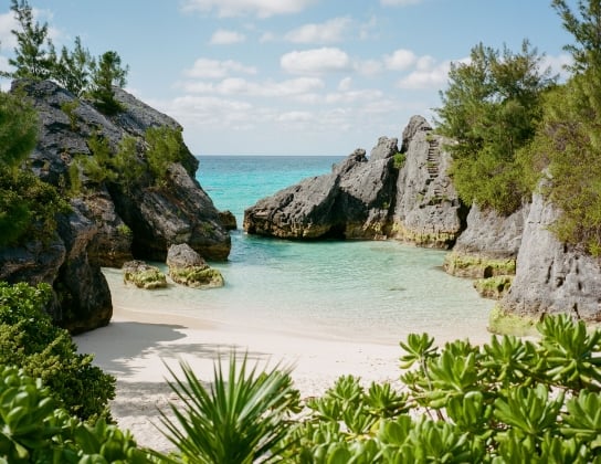 Jobson's Cove