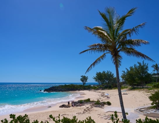 John Smith's Bay