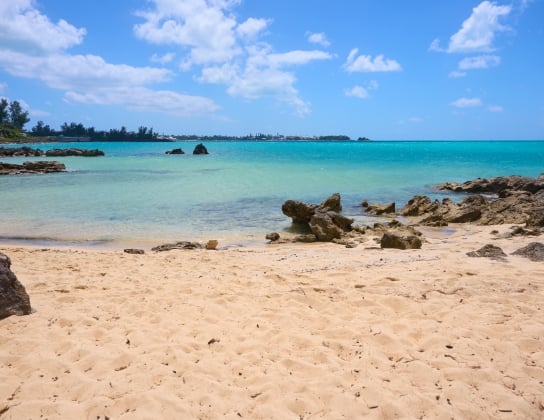 Theo Beach