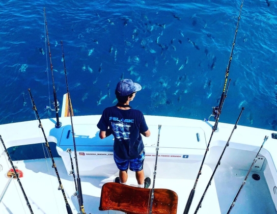 A man on a fishing boat watching a school of fish in the water