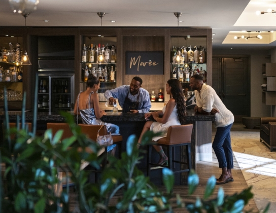 Jazz Nights At Marée Lounge