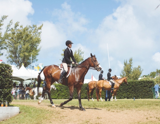 Bermuda Agricultural Exhibition