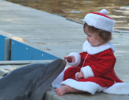 Carol With Dolphins
