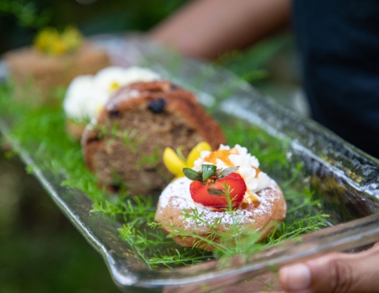 Vegan Fest