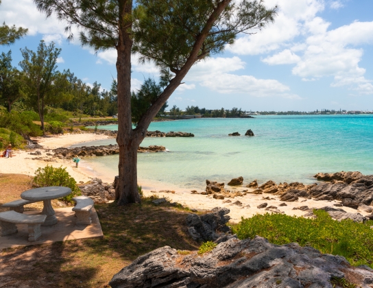Theo's Cove – Theo's Cove