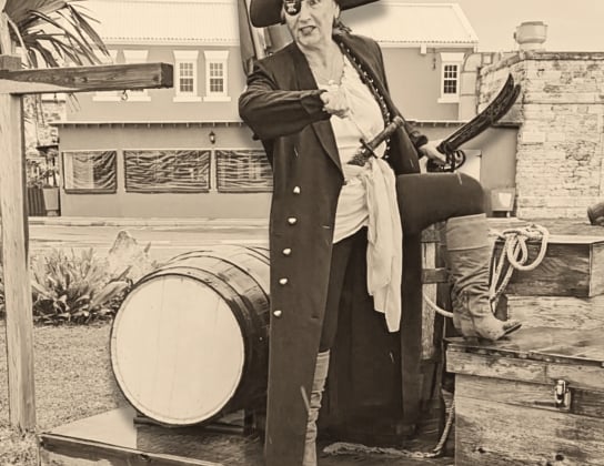 Meet & Greet: Dockyard Pirate