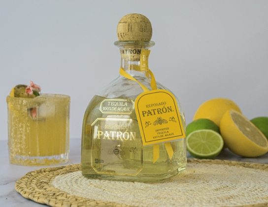 SALT Patron Dinner Party