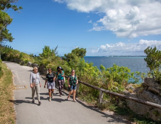 Sunday Walks With The Walking Club Of Bermuda
