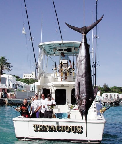 big fish being pulled up by boat