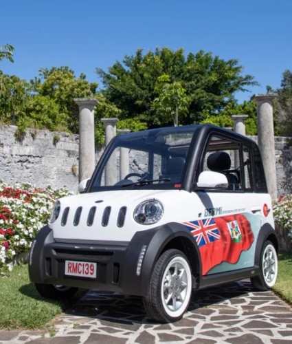 Electric car in garden
