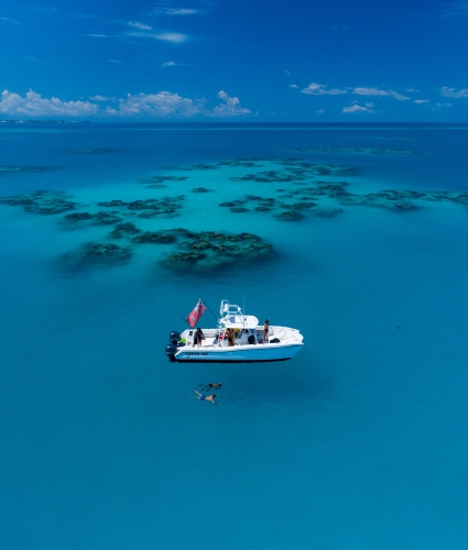 people snorkelling by the boat