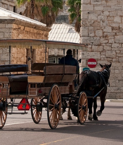 Horse Carriage