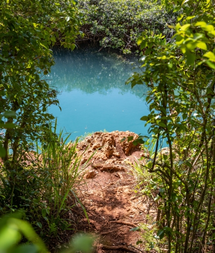 Lake view