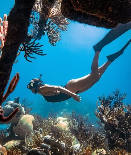 A woman snorkeling near coral