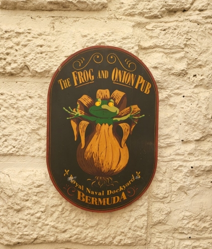 Frog & Onion's Piano Bar Featuring Wayne Davis
