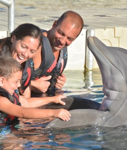 Dolphin Quest Bermuda – Dolphin Quest Bermuda