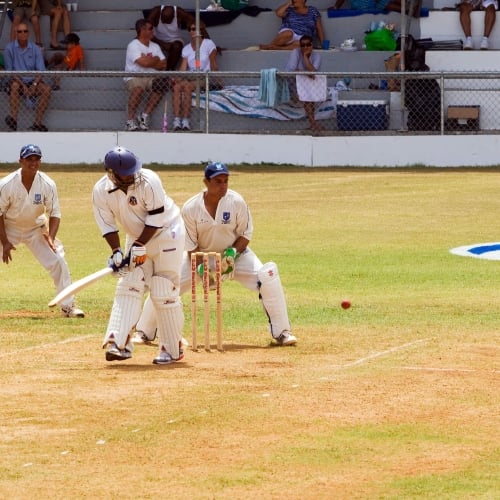 Men are playing cricket.