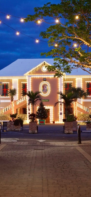 A wide shot of the St. George's Square at Christmas.