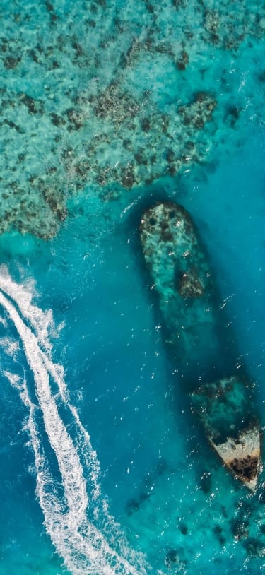 Aerial view of people jet skiing. 