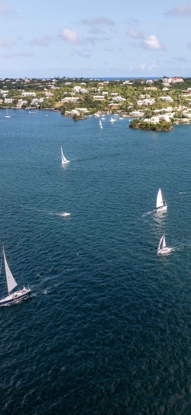 A group of boats are sailing on the hamilton harbour.